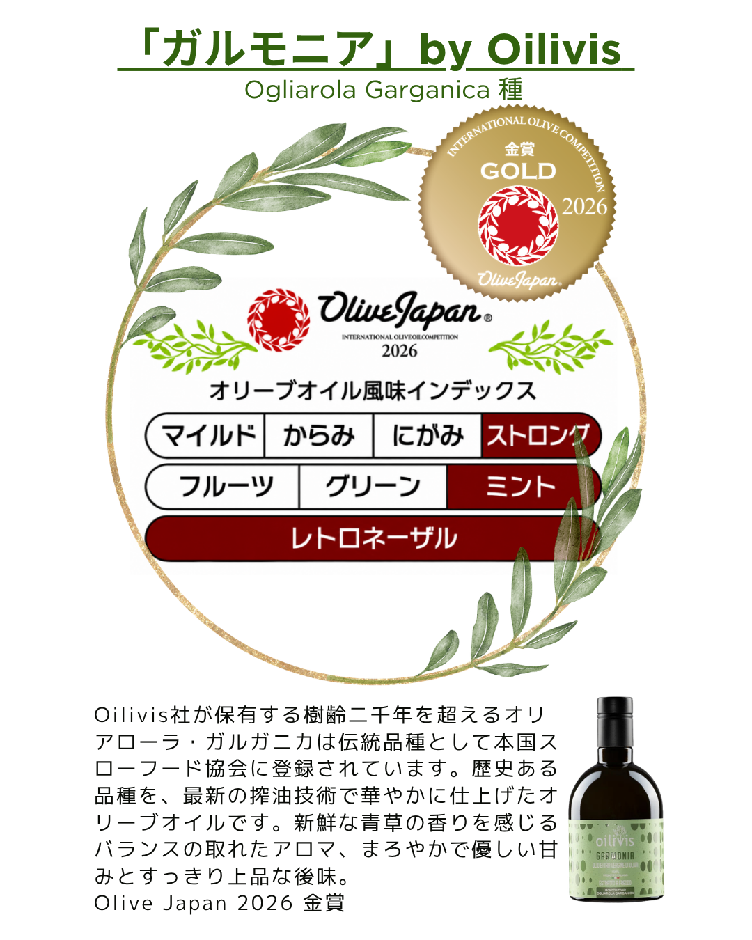 オイリヴィス ガルモニア（オリアローラ・ガルガニカ種）500ml（2025年収穫商品）